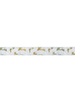 Donatella Border