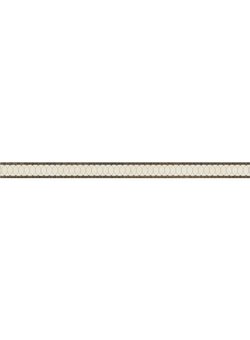 Illusion Petite Border